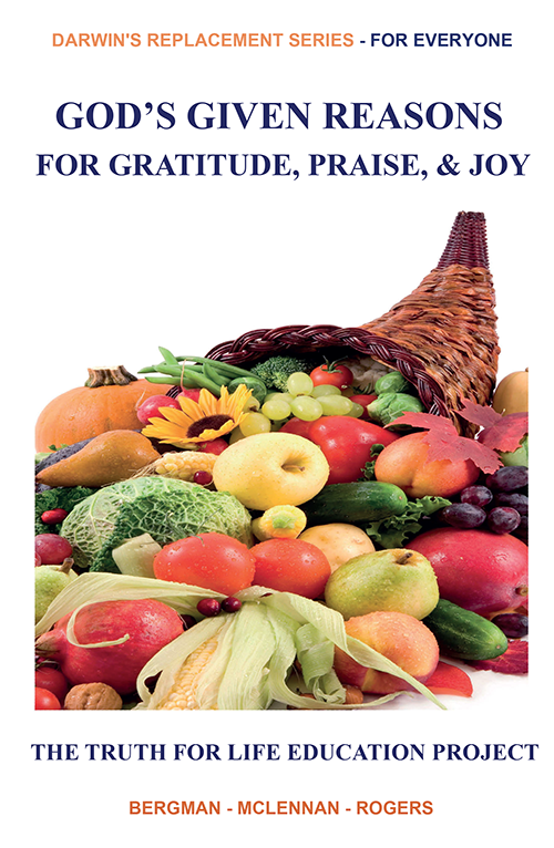 God's Given Reasons for Gratitude, Praise, & Joy - booklet